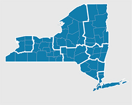New York State map icon