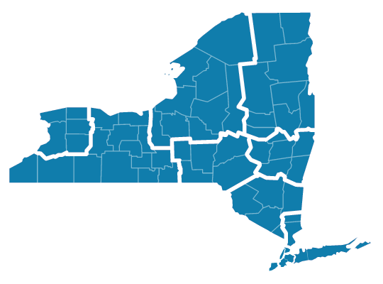 New York State map icon
